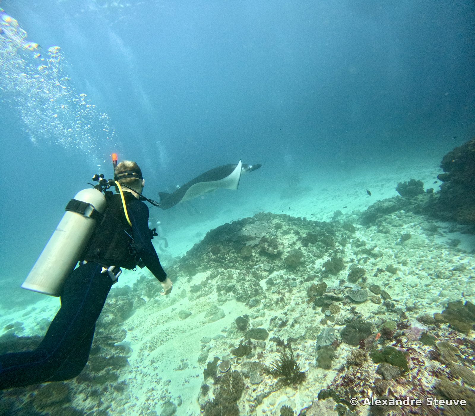 Plongée Manta Point, Nusa Penida