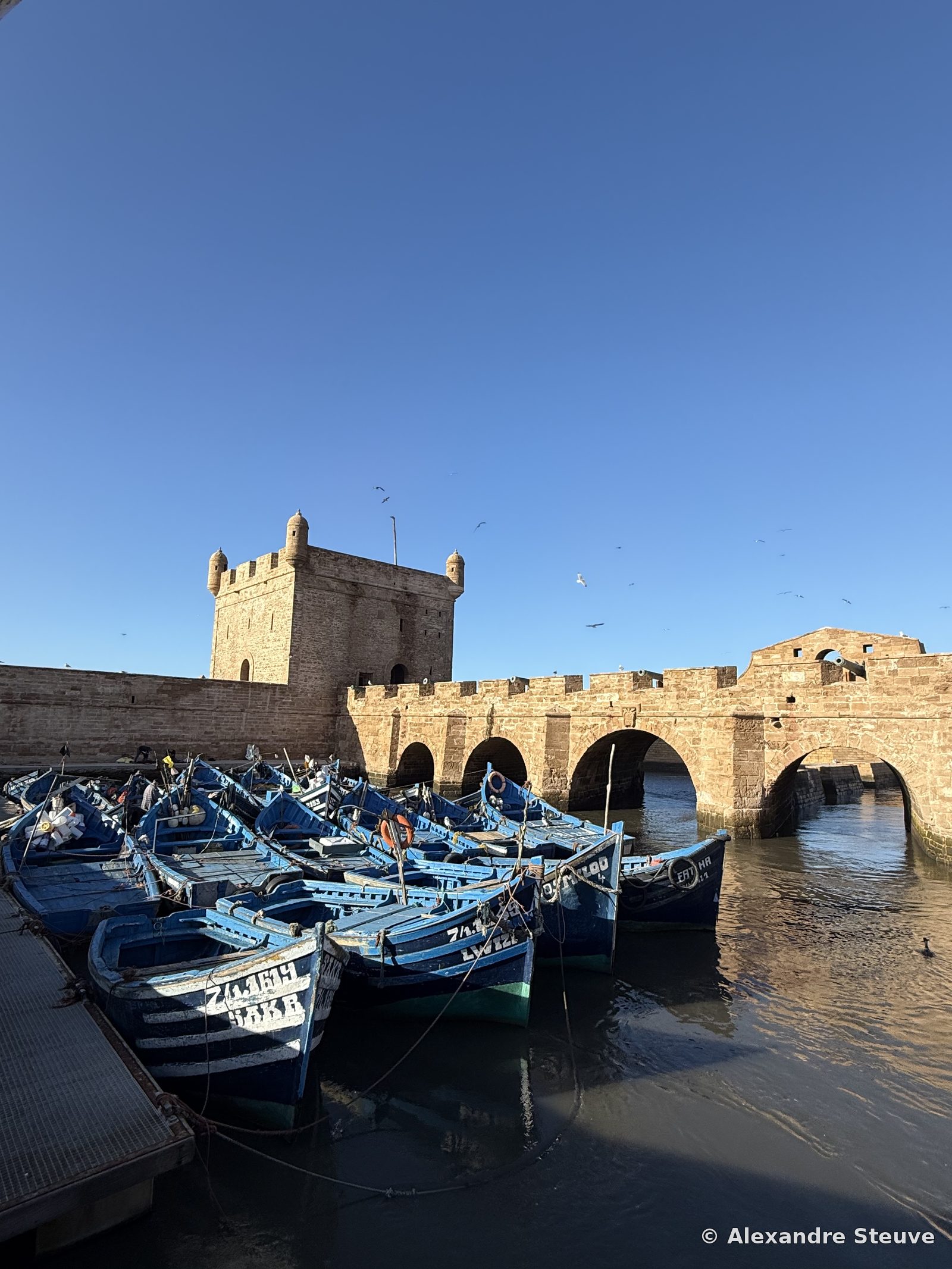 Port d'Essaouira